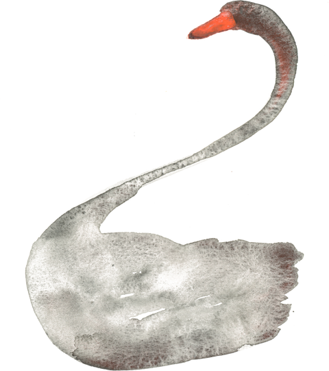 Swan Room